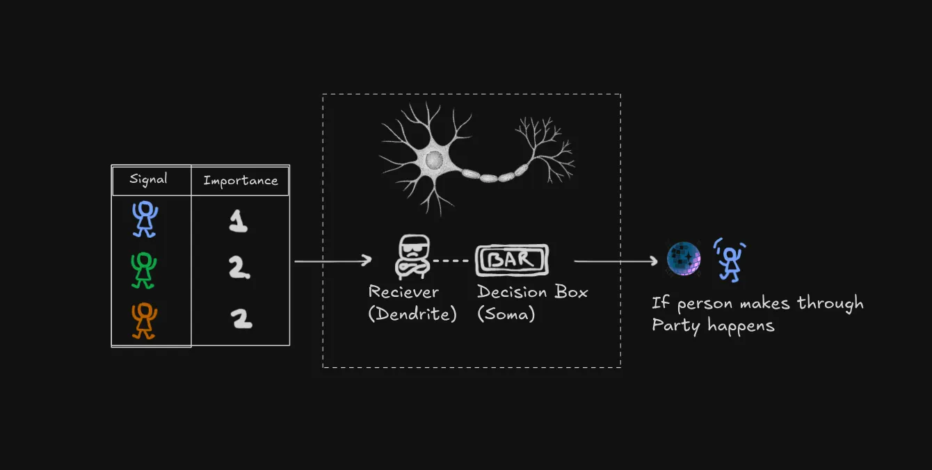 bar analogy for neuron's working