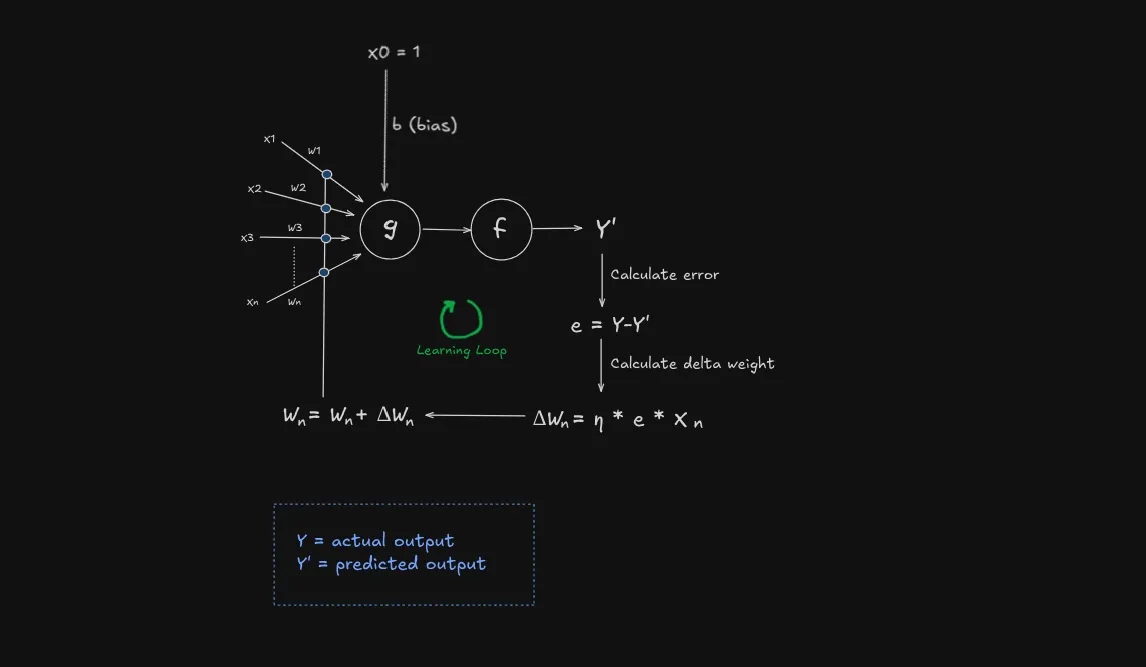 perceptron from mcp neuron