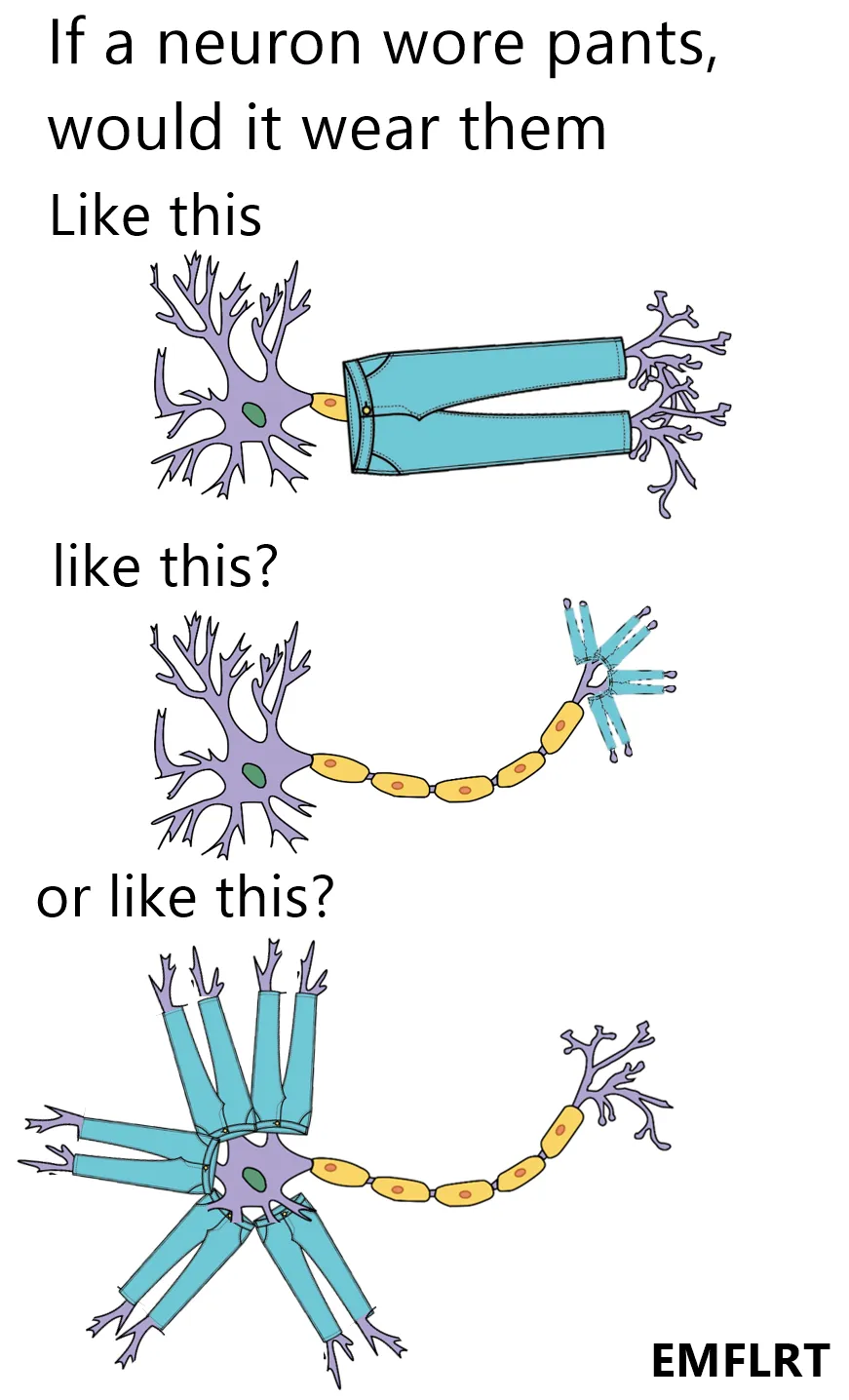 neuron-meme-2