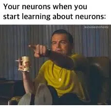 neurons-excited